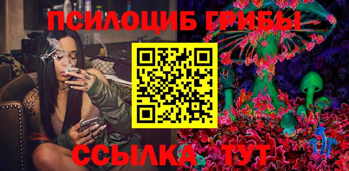 Псилоцибиновые грибы Cubensis Аксай