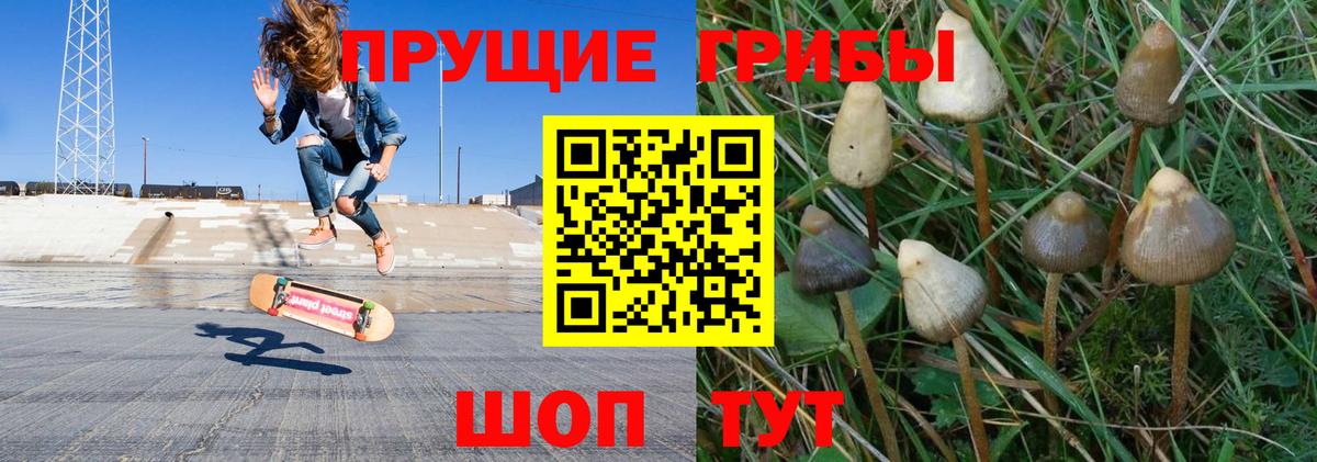 Псилоцибиновые грибы прущие грибы  Псилоцибиновые грибы ЛСД  Аксай  Вход с VPN 